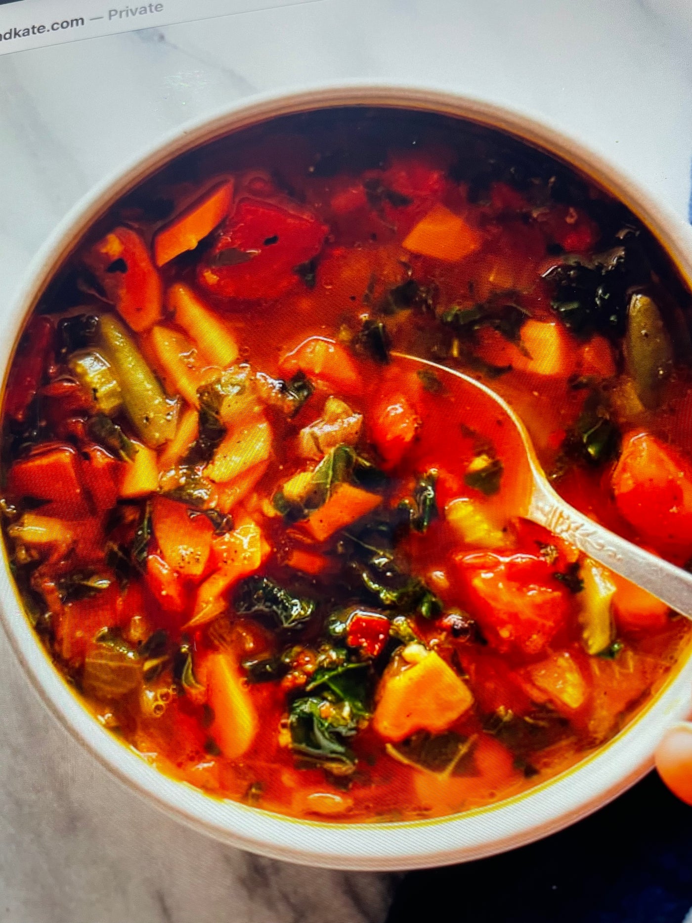 DD’s AFrame Zesty Vegetable Soup